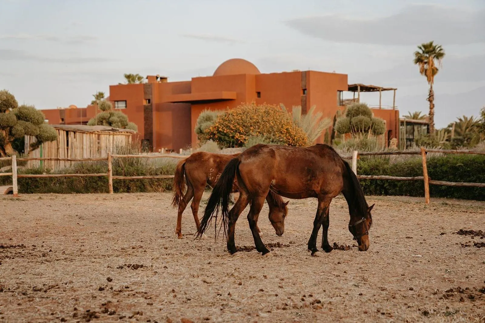 Fellah Hotel Aït Hamid