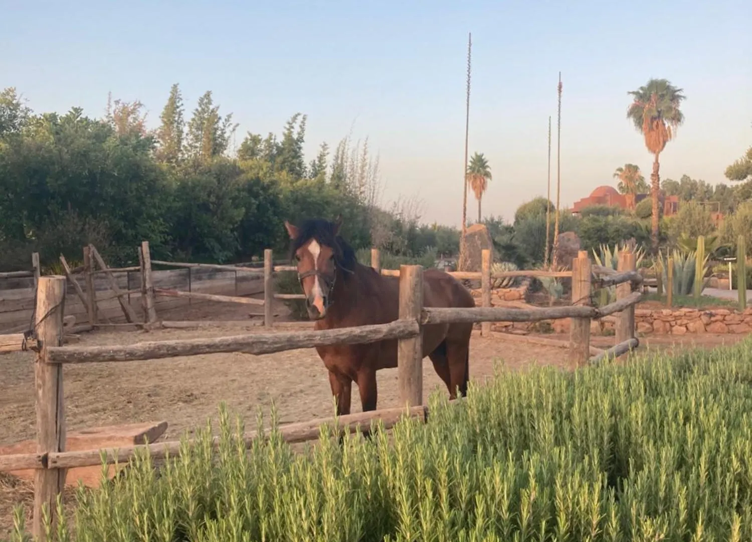 Fellah Hotel Aït Hamid